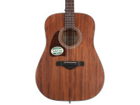 Ibanez  AW54L Open Pore Natural